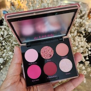 2/$25 Dominique Cosmetics Now or Never Palette